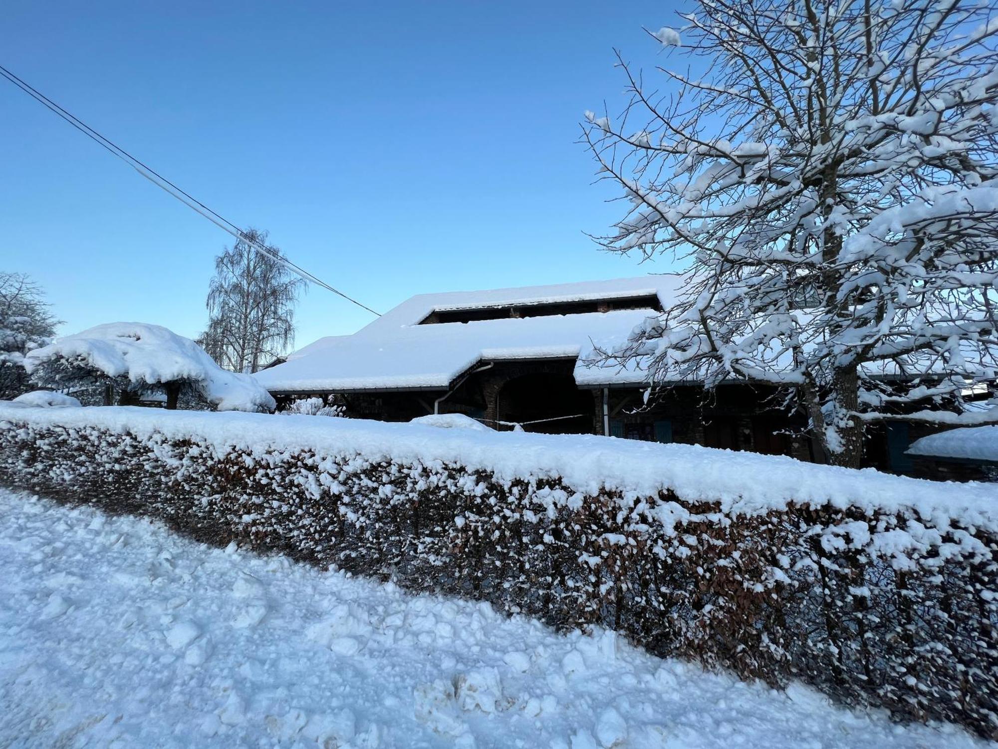 Le Teli Du Loup Dans La Taniere D'Armand Vila Stavelot Exterior foto